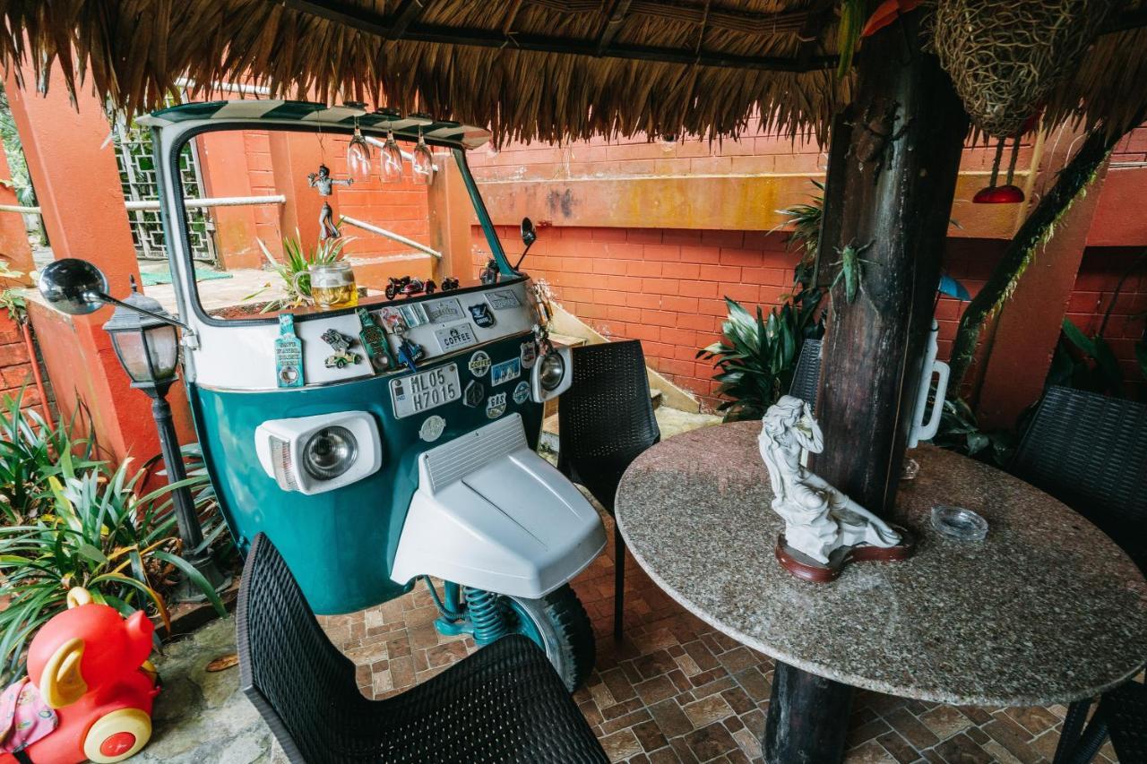 Rock Cliff Home Stay 실롱 외부 사진