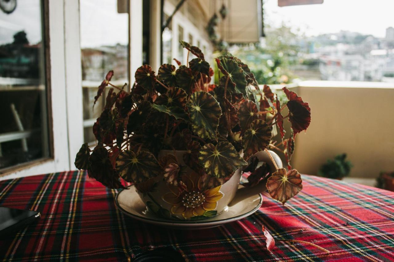 Rock Cliff Home Stay 실롱 외부 사진