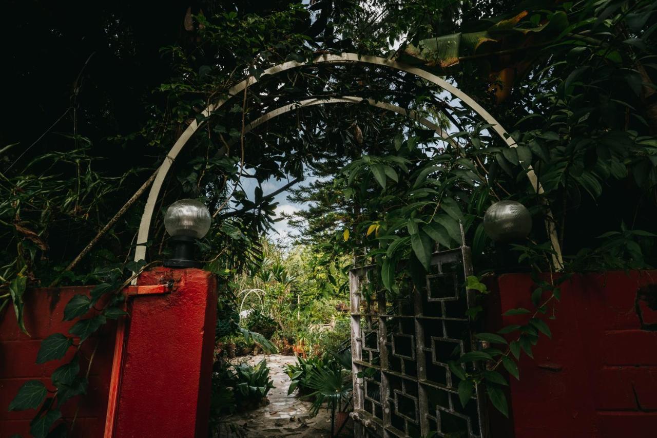 Rock Cliff Home Stay 실롱 외부 사진