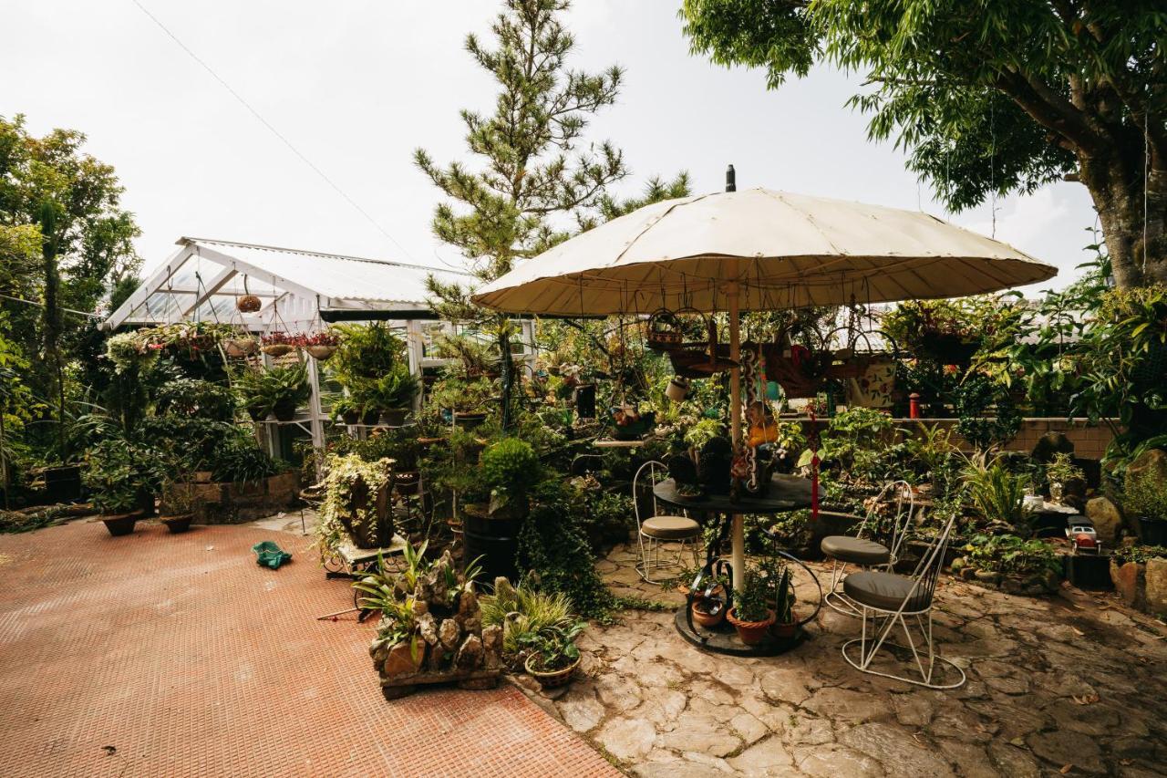 Rock Cliff Home Stay 실롱 외부 사진